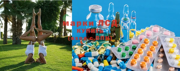 хмурый Алзамай