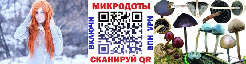Галлюциногенные грибы Cubensis  KRAKEN ссылка  Гдов 