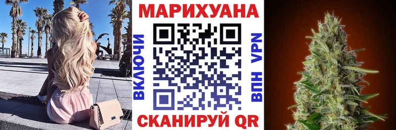 Конопля гибрид  shop наркотические препараты  Гдов 